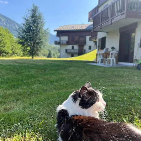 Cozy With Mountain View 아파트